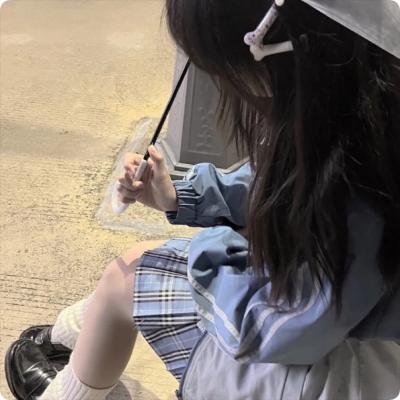 公主复仇者